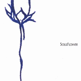 SOULFLOWER by Soulflower