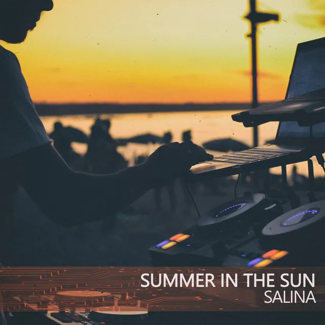 Summer in the Sun - Salina Island Mix