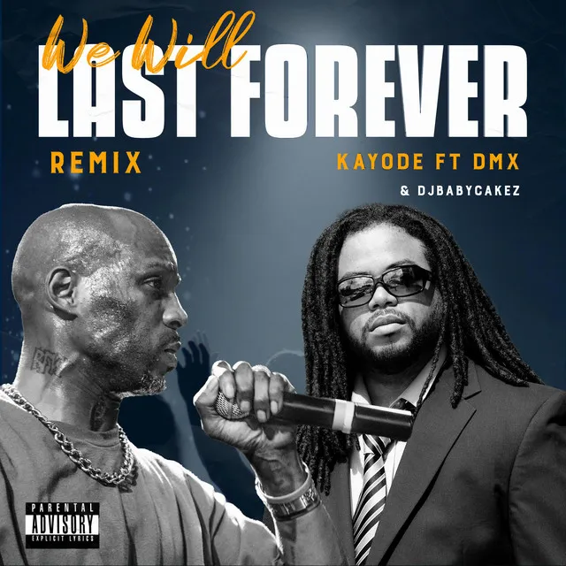 We Will Last Forever - Remix