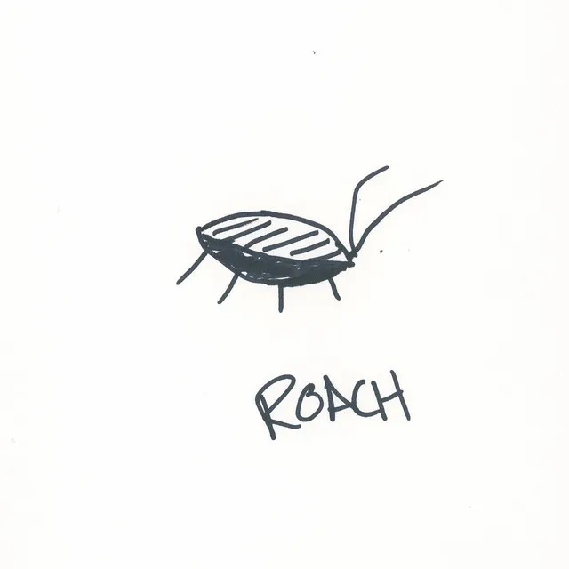 ROACH