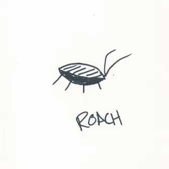 ROACH by Marco G