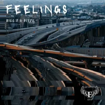 Feelings by Bigg P