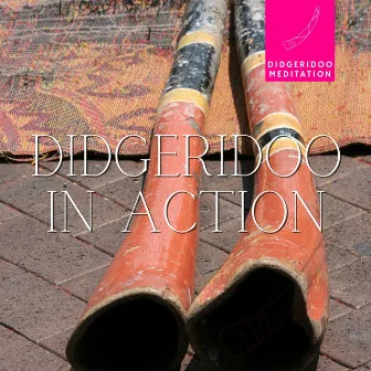 Didgeridoo in Action by Didgeridoo Meditation