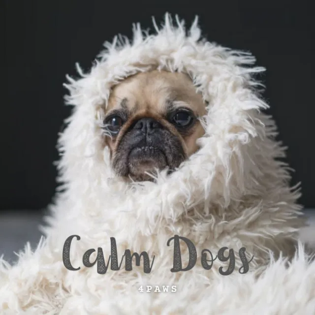 4Paws: Calm Dogs