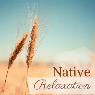 Native Relaxation - XX Tracks: Zen Music Harmony, Healing Zone, Wellness and Serenity, Body & Mind Relaxation, Tranquility for Body and Mind by Unknown Artist