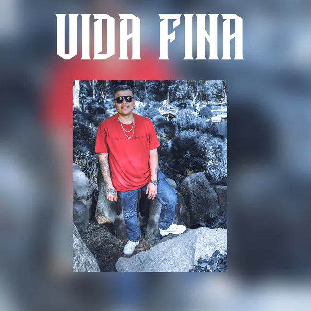 vida fina