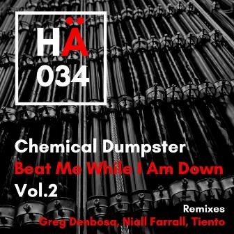 Beat Me While I Am Down, Vol. 2 by Chemical Dumpster