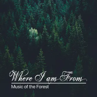 Where I Am From by Music of the Forest