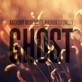 Ghost (feat. Nathan Brumley) by Anthony Moreno