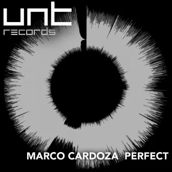 Perfect by Marco Cardoza