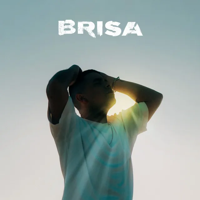 BRISA