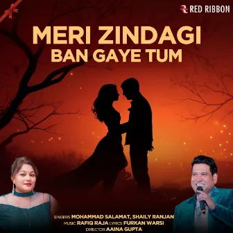 Meri Zindagi Ban Gaye Tum by Mohammad Salamat