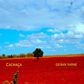 Cachaça by Geisan Varne