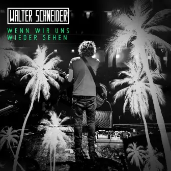 Wenn wir uns wieder sehen (Radio edit) by Walter Schneider