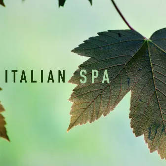 Italian Spa - Ambient Therapy Wellness Music by Relaxation and Meditation SPA Music