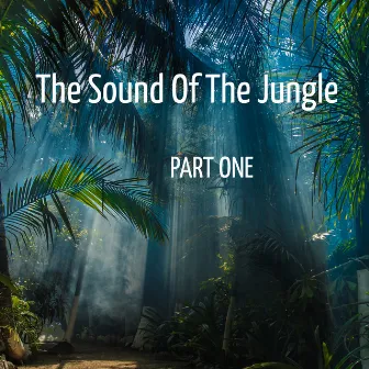 Part One by The Sound Of The Jungle