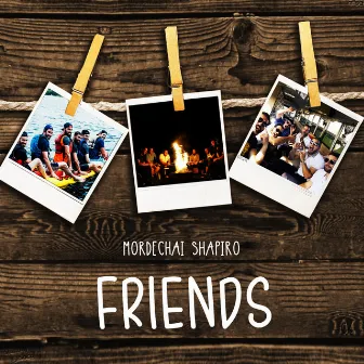 Friends by Mordechai Shapiro