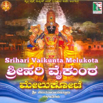 Sri Hari Vaikunta Melukote by Narasihma Nayak