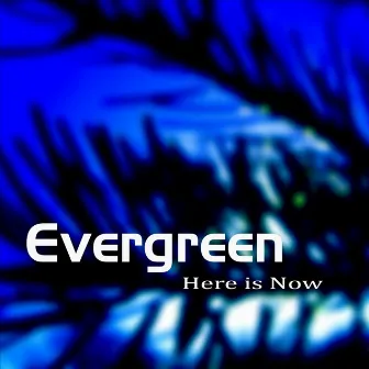 Here Is Now by Evergreen