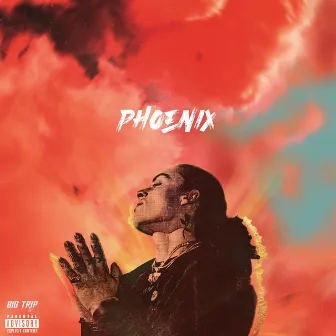 Phoenix by Big Trip