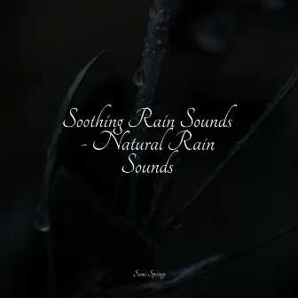 Soothing Rain Sounds - Natural Rain Sounds by Tonal Meditation Collective