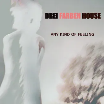 Any Kind Of Feeling by Drei Farben House