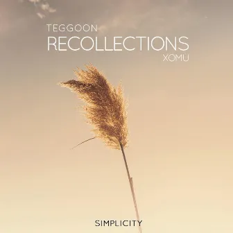 Recollections by Teggoon