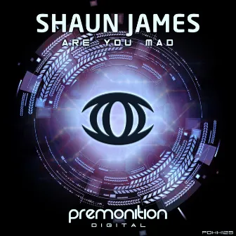 Are You Mad by Shaun James