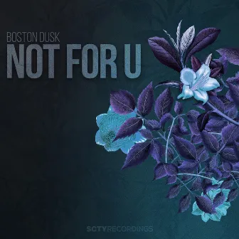 Not For U by Boston Dusk