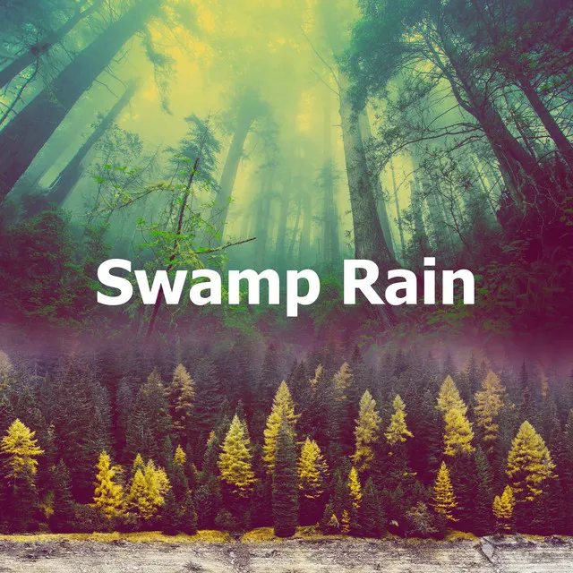 Swamp Rain