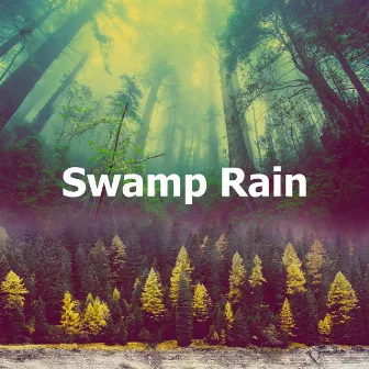 Swamp Rain by Nature Calm