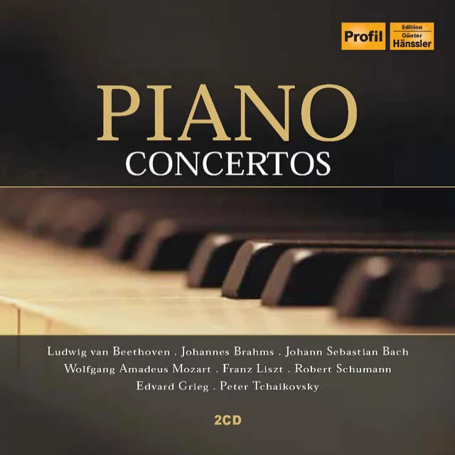 Keyboard Concerto in D Minor, BWV 1052: I. Allegro