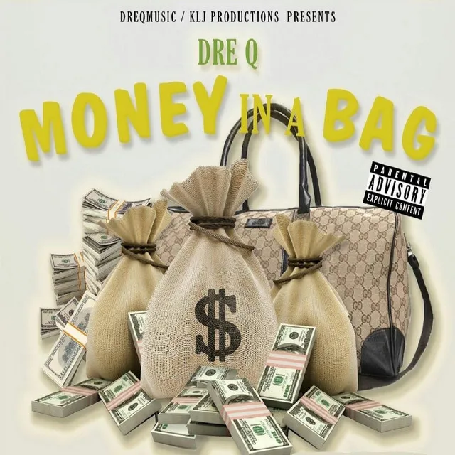 Money in a Bag