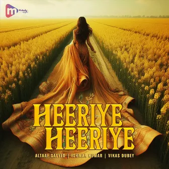 Heeriye Heeriye by Vikas Dubey