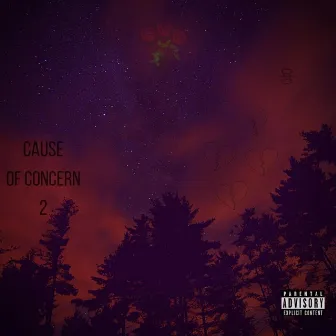 Cause of Concern 2 by concern