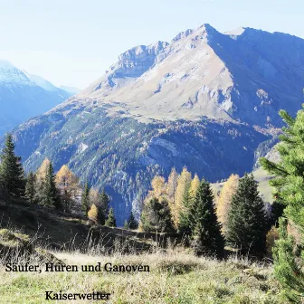 Kaiserwetter by Säufer Huren Und Ganoven