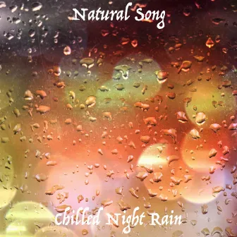 Chilled Night Rain by Natural Song