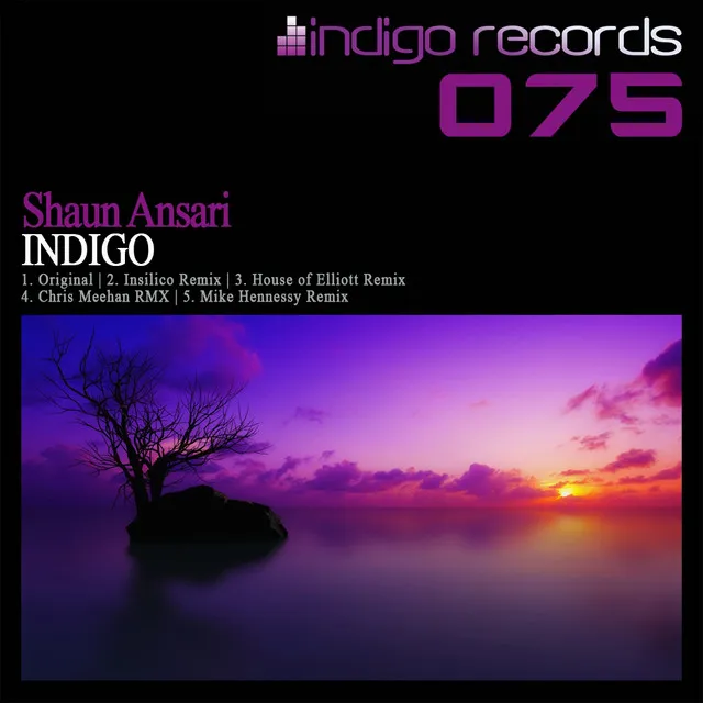 Indigo - House of Elliott Remix