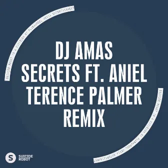 Secrets feat Aniel (Terence Palmer Remix) by Dj Amas