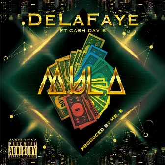 Mula (feat. Cash Davis) by Delafaye