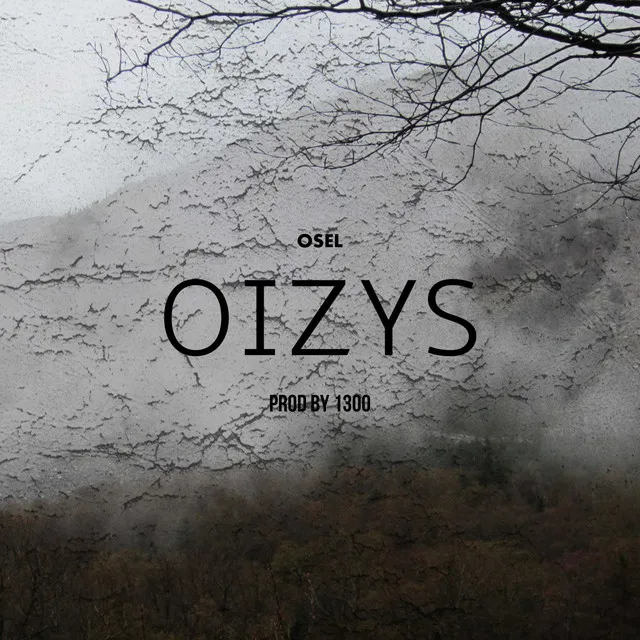 Oizys