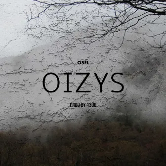 Oizys by Osel