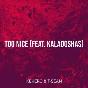 Too Nice by T-sean