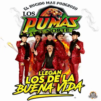 Llegan los de la Buena Vida by Los Pumas Del Norte