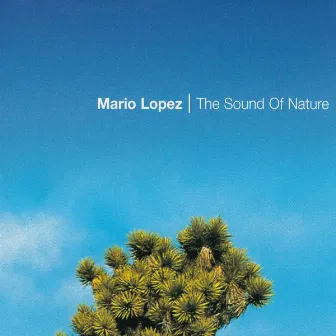 The Sound of Nature by Mario Lopez