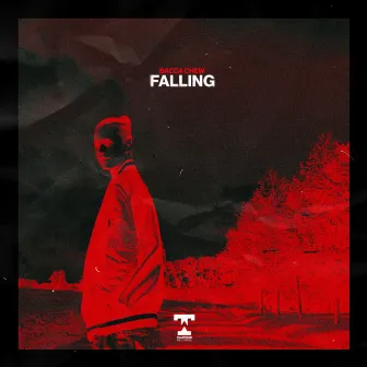 Falling by Bacca Chew