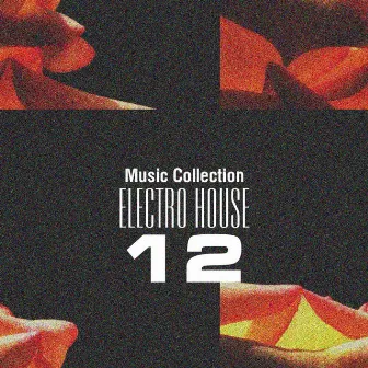 Music Collection. Electro House, Vol. 12 by Elefant Man