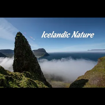 Icelandic Nature by Benni Sig