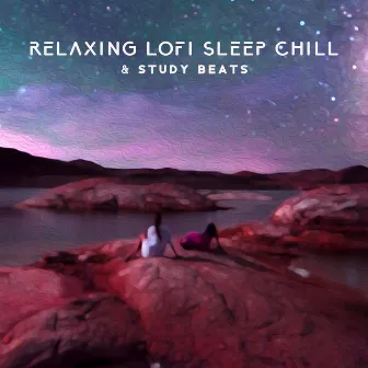 Relaxing Lofi Sleep Chill & Study Beats (Lofi Ambient Music) by Lo-fi Chill Zone