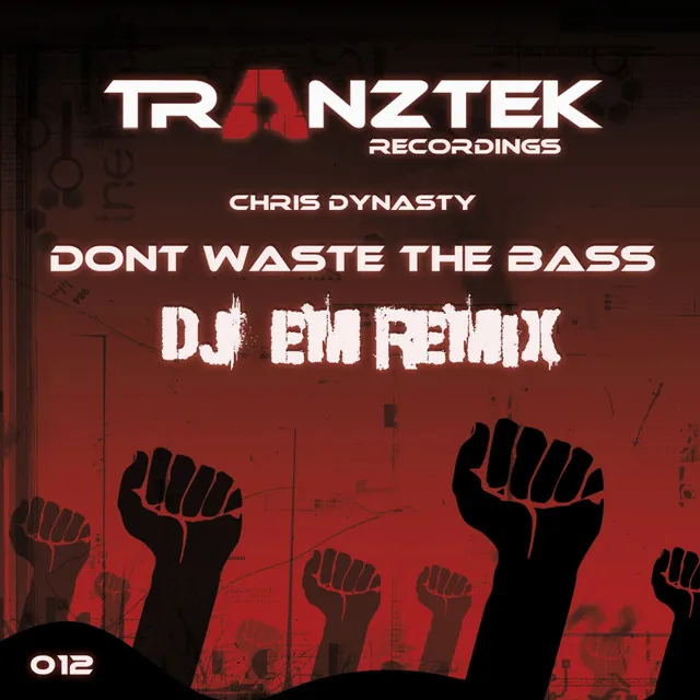 Don't Waste The Bass (DJ Em Remix)